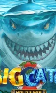 A Big Catch - Hold & Win